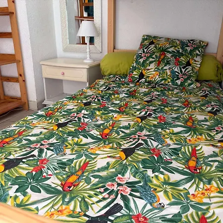 Apartman Appt Climatise Port Camargue Pc440-330